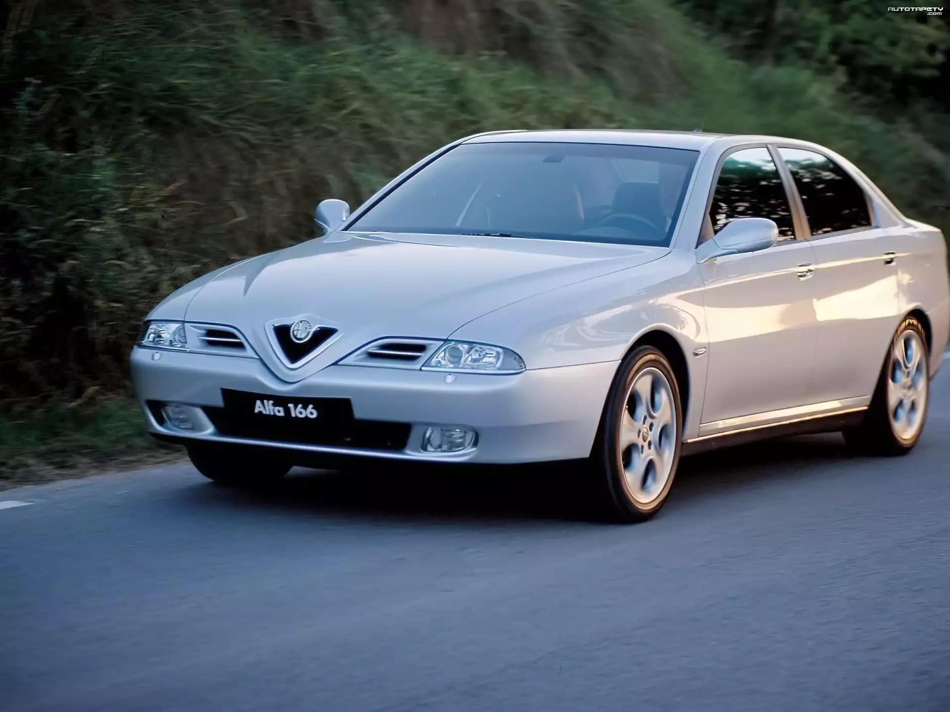 Srebrna, Alfa Romeo 166