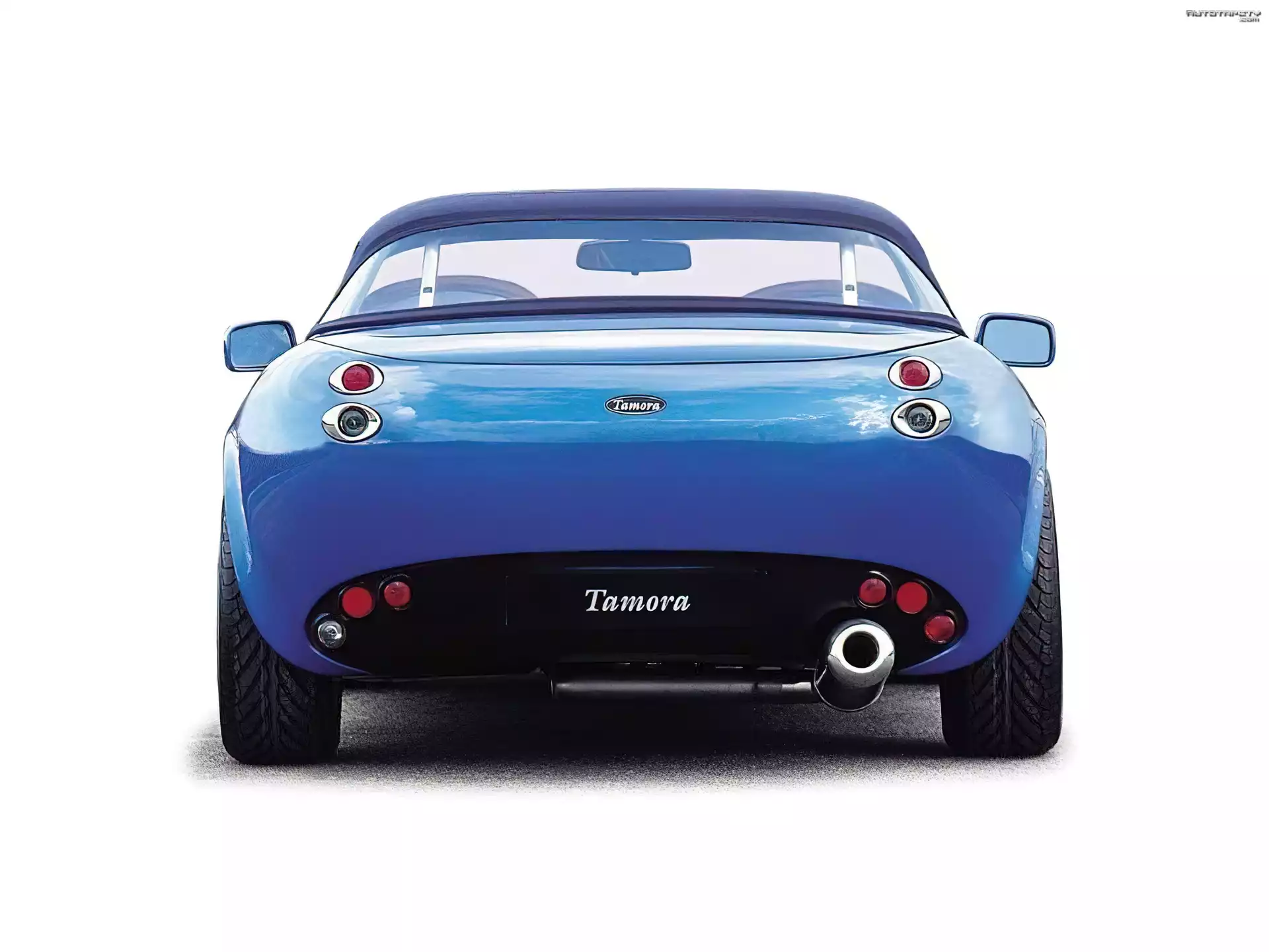 TVR, Tamora