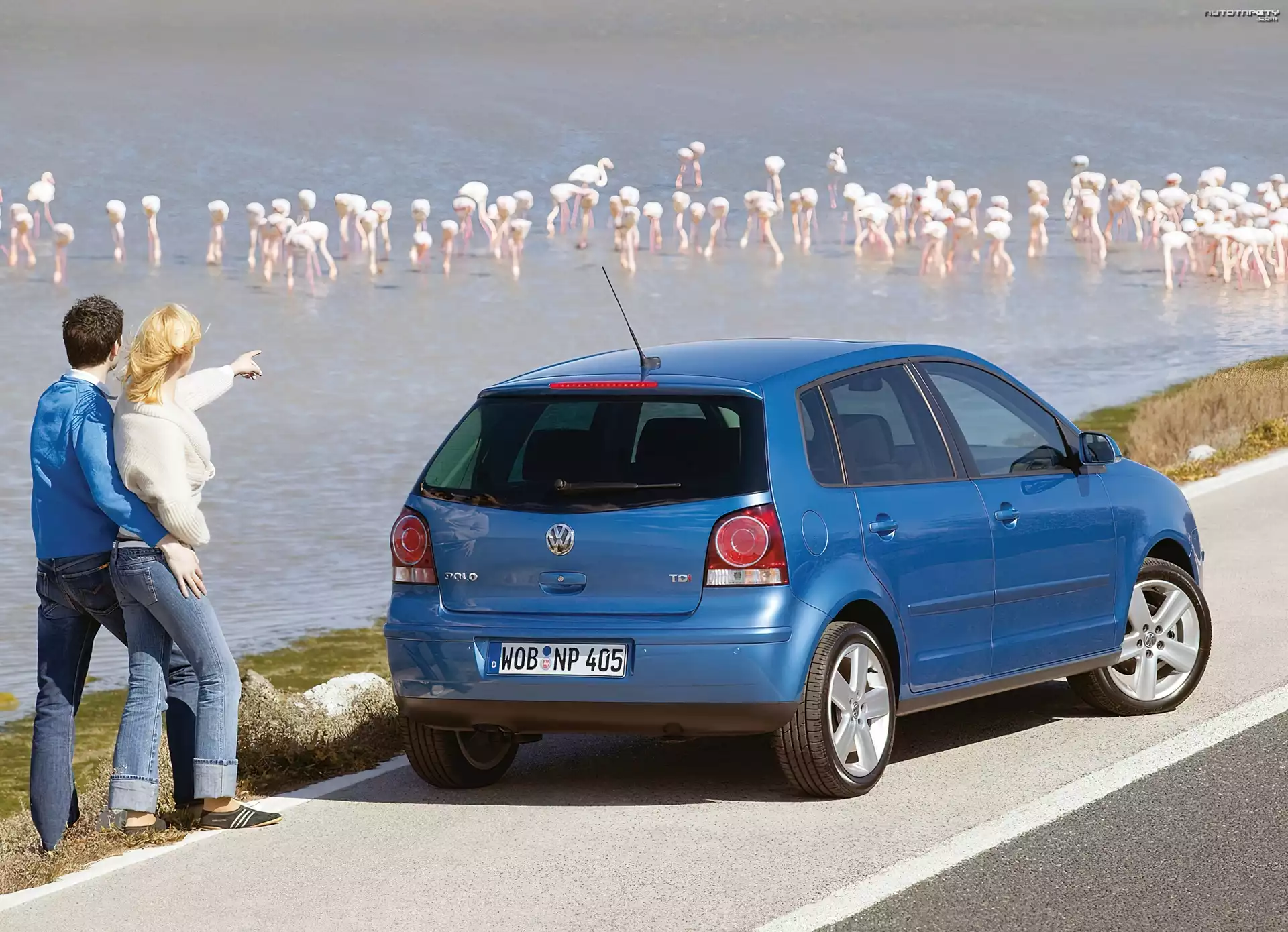 Volkswagen Polo, Miejski, Hatchback