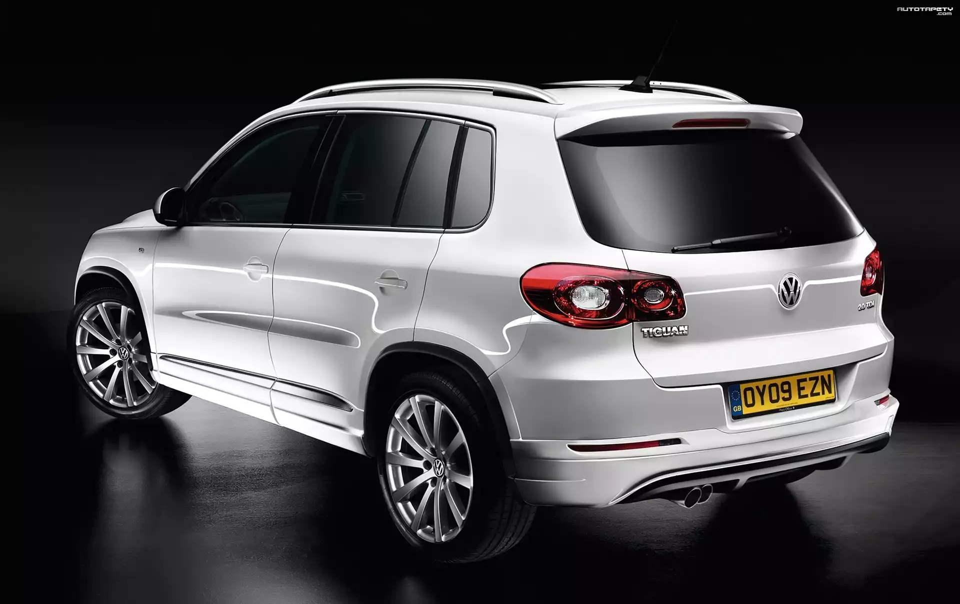 Volkswagen Tiguan, Relingi, Dachowe