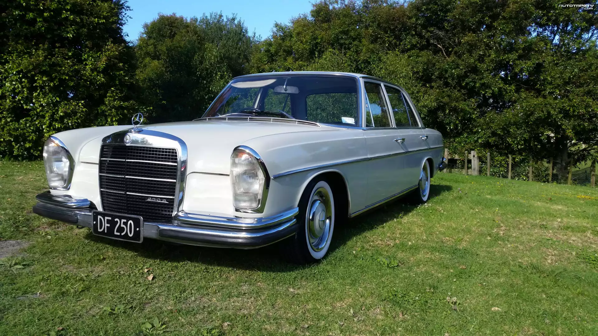 Zabytkowy, Mercedes-Benz W108 250S, 1967