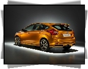 Ford Focus ST, Spojler, Dachowy