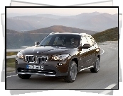 Brązowe, BMW X1, 23d