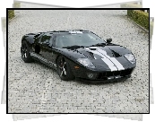 Ford GT, Wloty, Maska