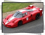 Ferrari FXX, Wyścig