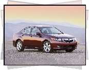 Acura TSX, Alufelgi