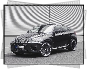 BMW, X6, Ac, Schnitzer