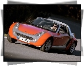 Pomarańczowy, Smart Roadster