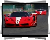 Ferrari FXX, Numer, Startowy, Spaliny