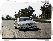 Bentley Continental GT, Profilowana, Maska