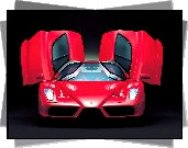 Ferrari Enzo, Drzwi