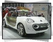 Citroen C-Cactus, Zdjęcie