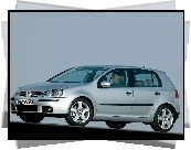 Volkswagen Golf 5, Srebrny