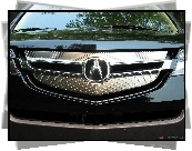 Przód, Acura MDX, Atrapa, Logo, Emblemat