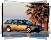 Audi A6, Palmy