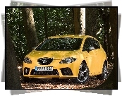 Seat Leon FR