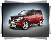 Dodge Nitro, Orurowanie