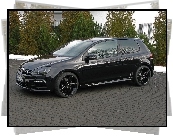 Volkswagen Golf 6, German, Style