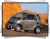 Szary, Smart Fortwo