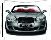 Przód, Bentley Continental GTC, Grill
