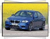 BMW F10, Seria 5