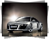 Audi R8, Sportowe