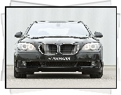 Hamann, Przód, BMW seria 7 F01, Tuning