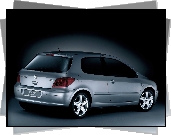 Peugeot 307, Sport