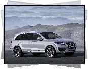 Audi Q7, Chromowane, Alufelgi