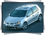 Golf 5, Srebrny, Szyberdach