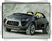 Citroen C-Buggy, Emblemat, Firmowy