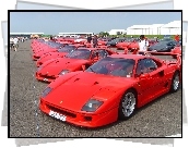 Zlot, Posiadaczy, Ferrari F 40