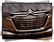 Citroen Metropolis, Grill