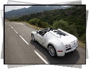 Biały, Bugatti Veyron, Cabrio