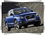 Audi Q5, Jazda, Testowa