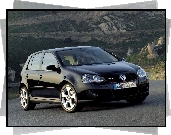 Volkswagen Golf 5, GTI, 5d