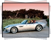 BMW Z8