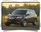 Acura MDX, Emblemat, Reflektor