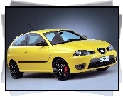 Seat Ibiza, Cupra R