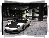 Lamborghini Murcielago, Karbon