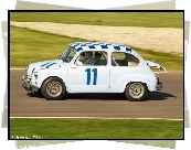 Abarth 600, Wyścig, Szachownica