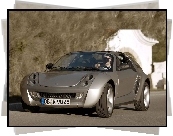 Szary, Smart Roadster