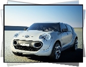 Citroen C-Cactus, Maska