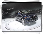 Audi Q5, Wystawa, Prezentacja