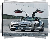 Mercedes Benz SLS