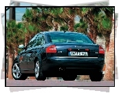 Audi A6, Palmy