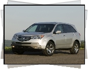 Srebrna, Acura MDX, Opony