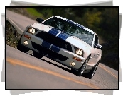 Shelby, Ford Mustang