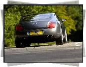 Bentley Continental GT, Profil, Opon