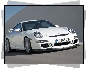 Przód porsche Gt3